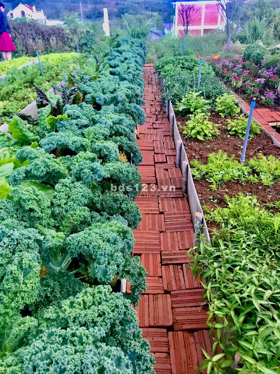 Bán đất chính chủ nghỉ dưỡng Đà Lạt 400m2 - TC 200m2