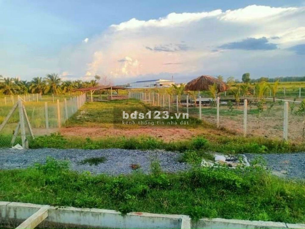 Hạ giá bán đất gấp 1.3 tỷ (thương lượng) 516m2 vườn tại TL7, xã Phước Thạnh, Củ Chi