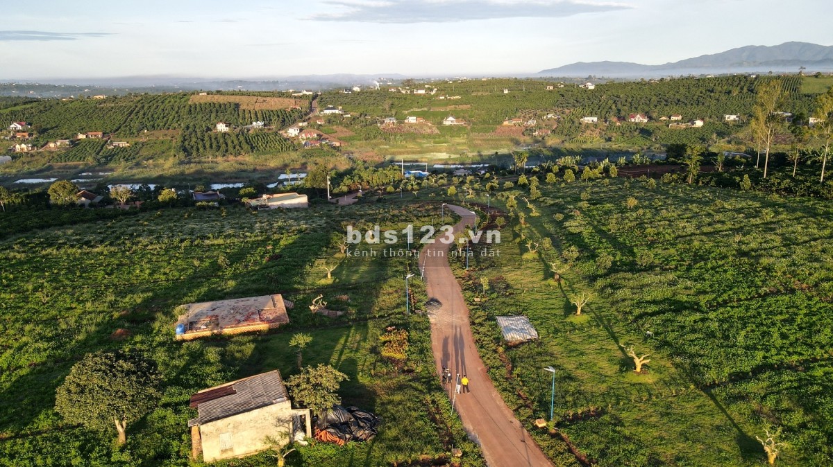 Bán đất vườn trồng sẵn cây ăn trái tại ngoại ô Đà Lạt