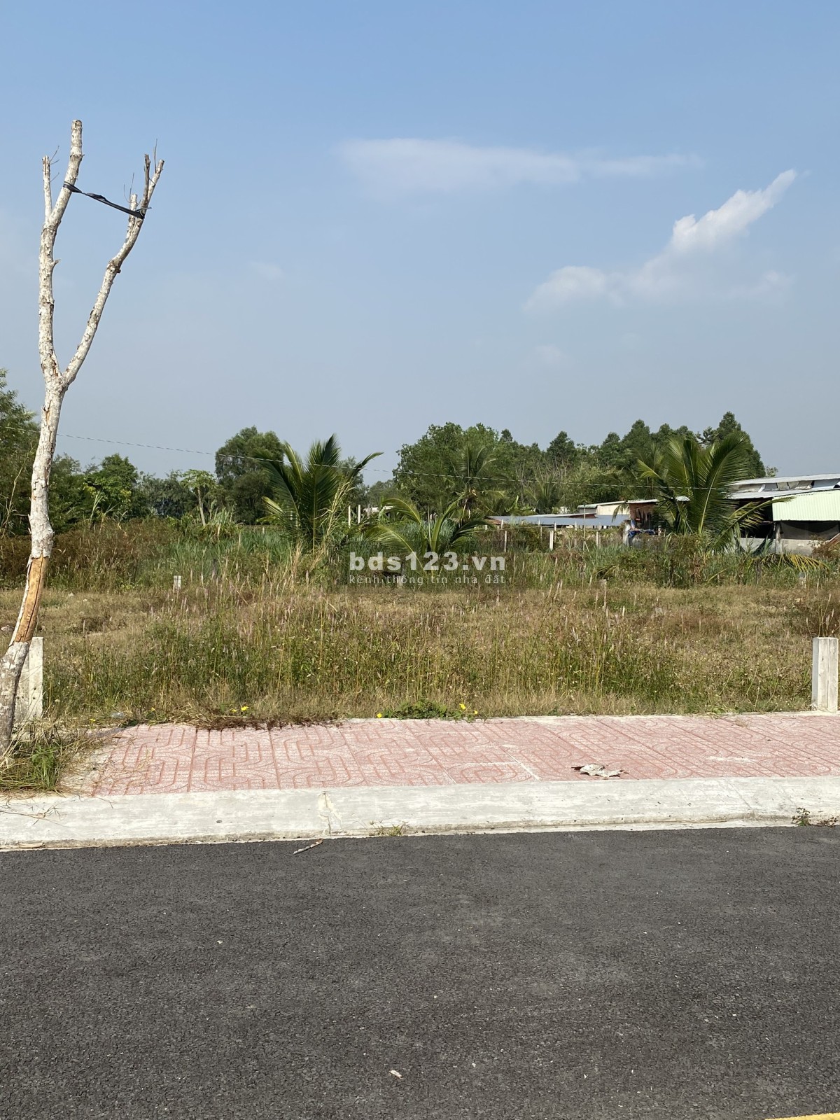Chính chủ cần bán đất nền Củ Chi giá rẻ
