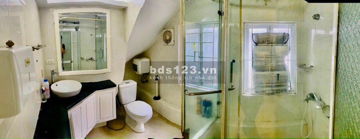 Bán nhà ở ngay đường Bưởi, Ba Đình - 30m2 - giá nhỉnh chỉ 3 tỷ