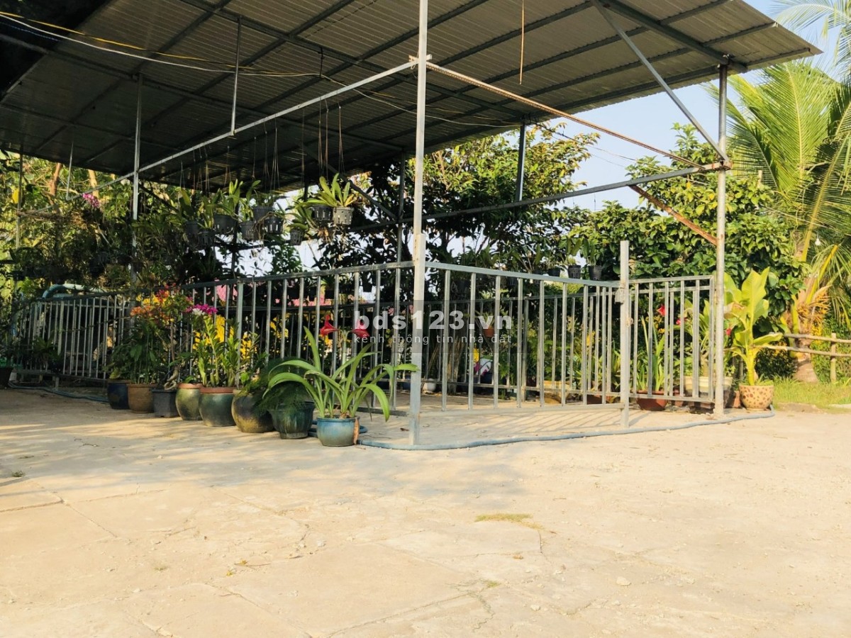 Cho thuê nha trọ, Nhà ở sân vườn, veiw ao sen cực chill như homestay ở gần bến xe bus Hưng Long