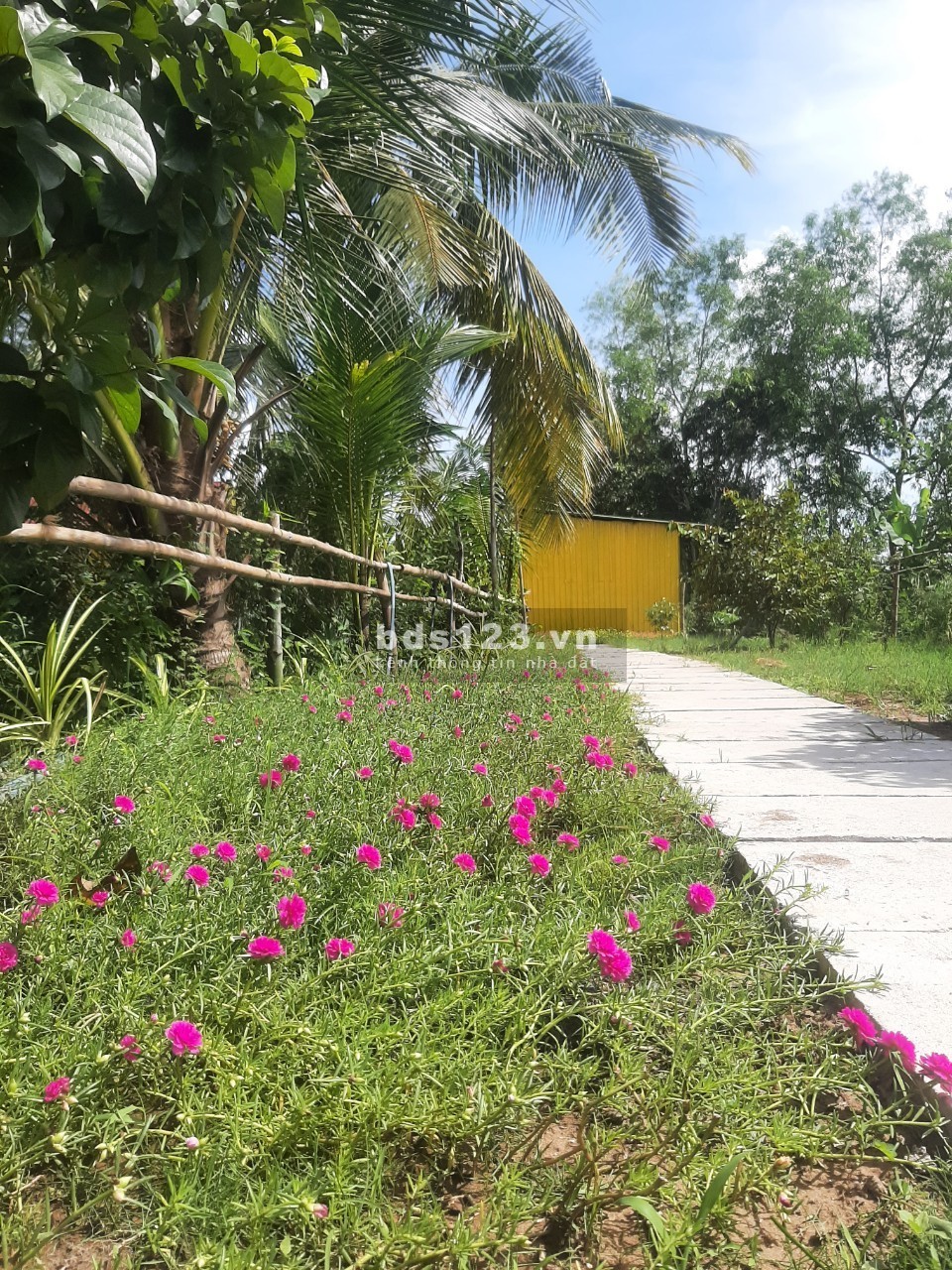 Cho thuê nha trọ, Nhà ở sân vườn, veiw ao sen cực chill như homestay ở gần bến xe bus Hưng Long