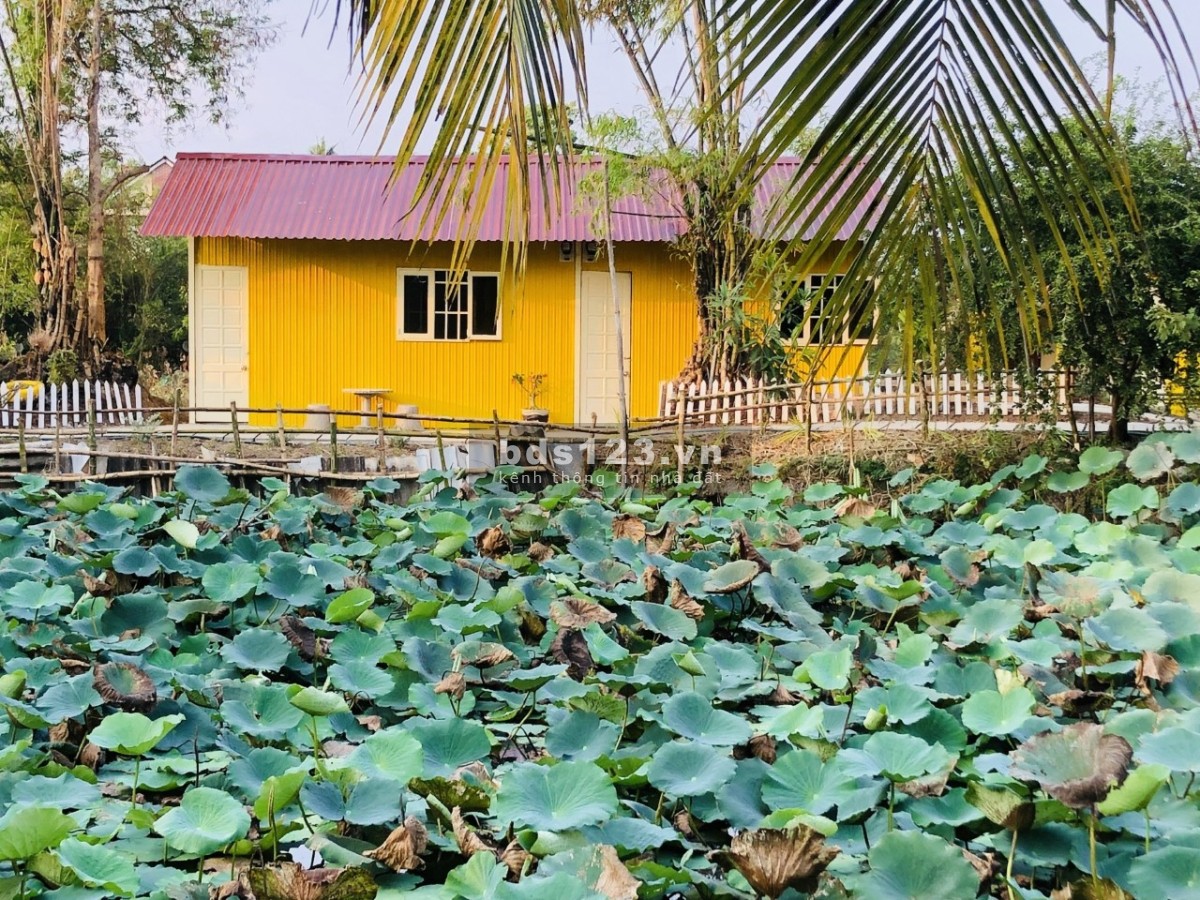 Cho thuê nha trọ, Nhà ở sân vườn, veiw ao sen cực chill như homestay ở gần bến xe bus Hưng Long