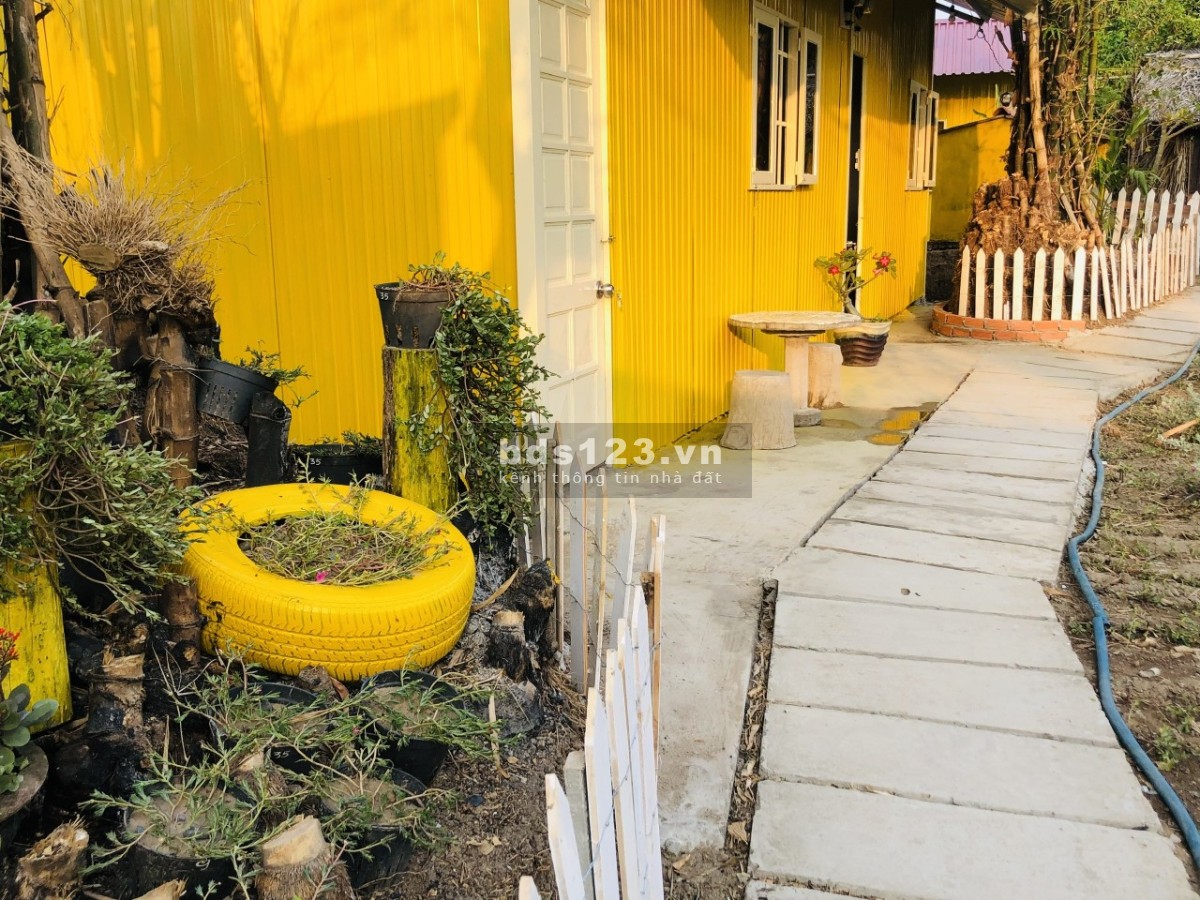 Cho thuê nha trọ, Nhà ở sân vườn, veiw ao sen cực chill như homestay ở gần bến xe bus Hưng Long