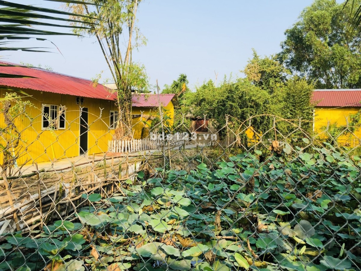 Cho thuê nha trọ, Nhà ở sân vườn, veiw ao sen cực chill như homestay ở gần bến xe bus Hưng Long