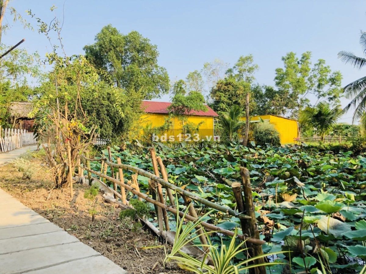 Cho thuê nha trọ, Nhà ở sân vườn, veiw ao sen cực chill như homestay ở gần bến xe bus Hưng Long