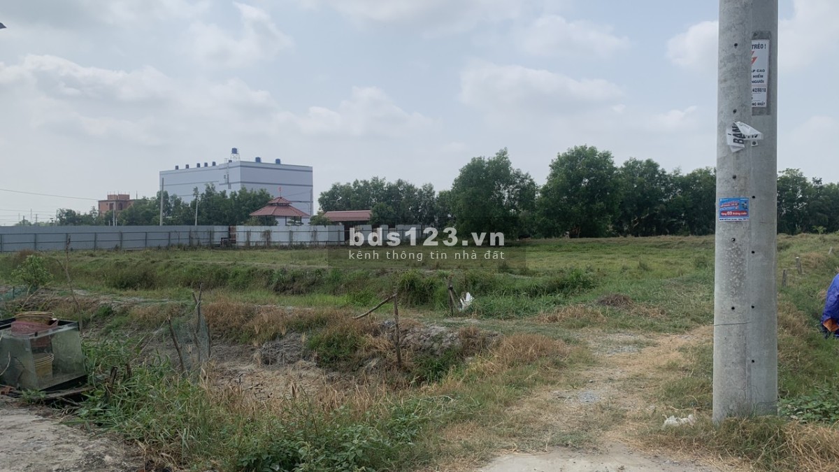 Bán đất gần UBND xã Long Cang (tỉnh Long An)