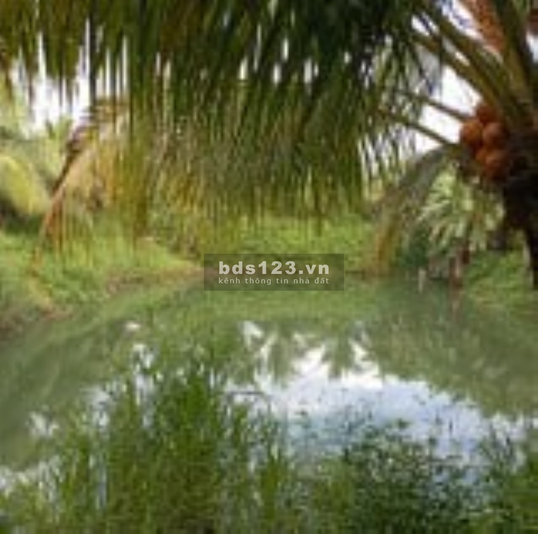 Bán gấp đất nhà vườn chính chủ, DT 10400m² full thổ cư tại Định Quán, Đồng Nai