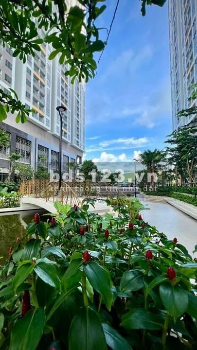Chính chủ cho thuê căn hộ Q7 Reverside nhà đẹp, full nội thất, giá 12,5 triệu