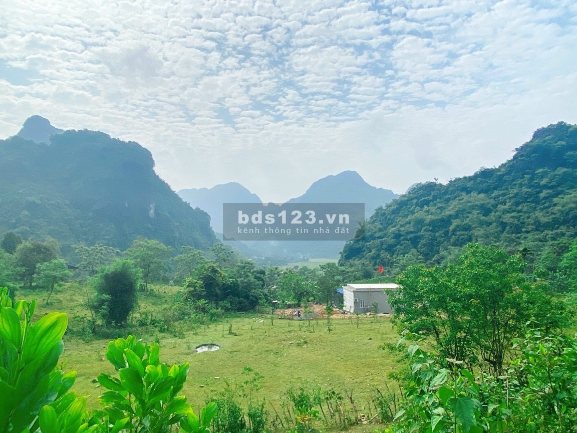 "Siêu rẻ" bán đất nhỉnh 1tỷ có ngay 3300m2, 300m2 ONT tại Kim Bôi - Hoà Bình, bám suối