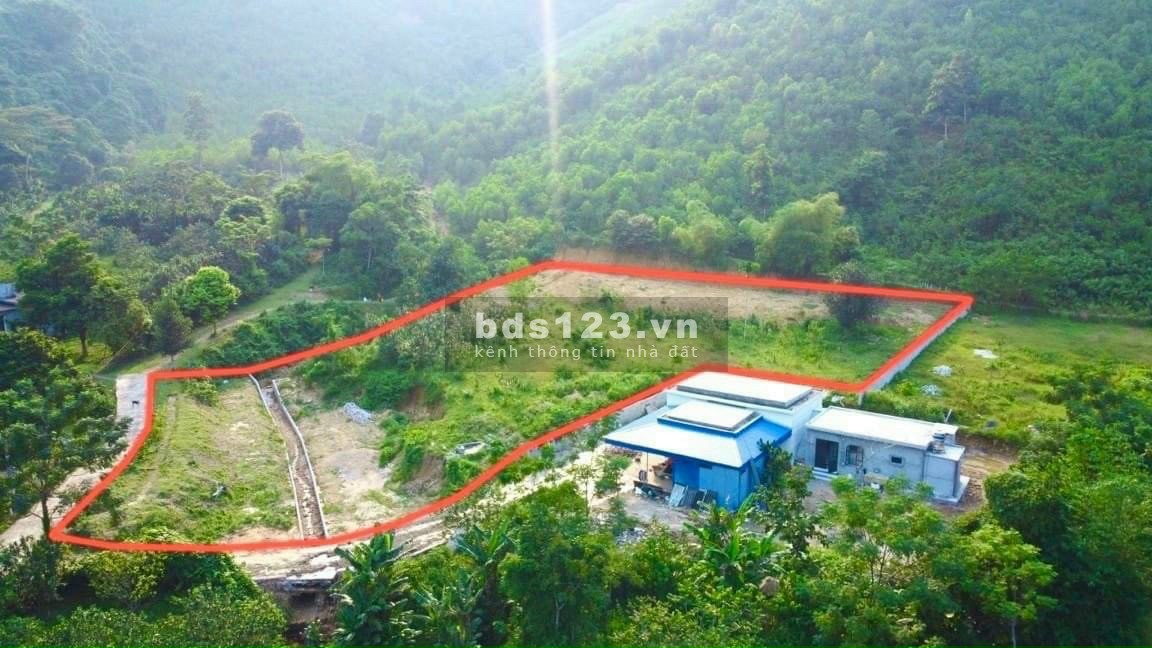 "Siêu rẻ" bán đất nhỉnh 1tỷ có ngay 3300m2, 300m2 ONT tại Kim Bôi - Hoà Bình, bám suối