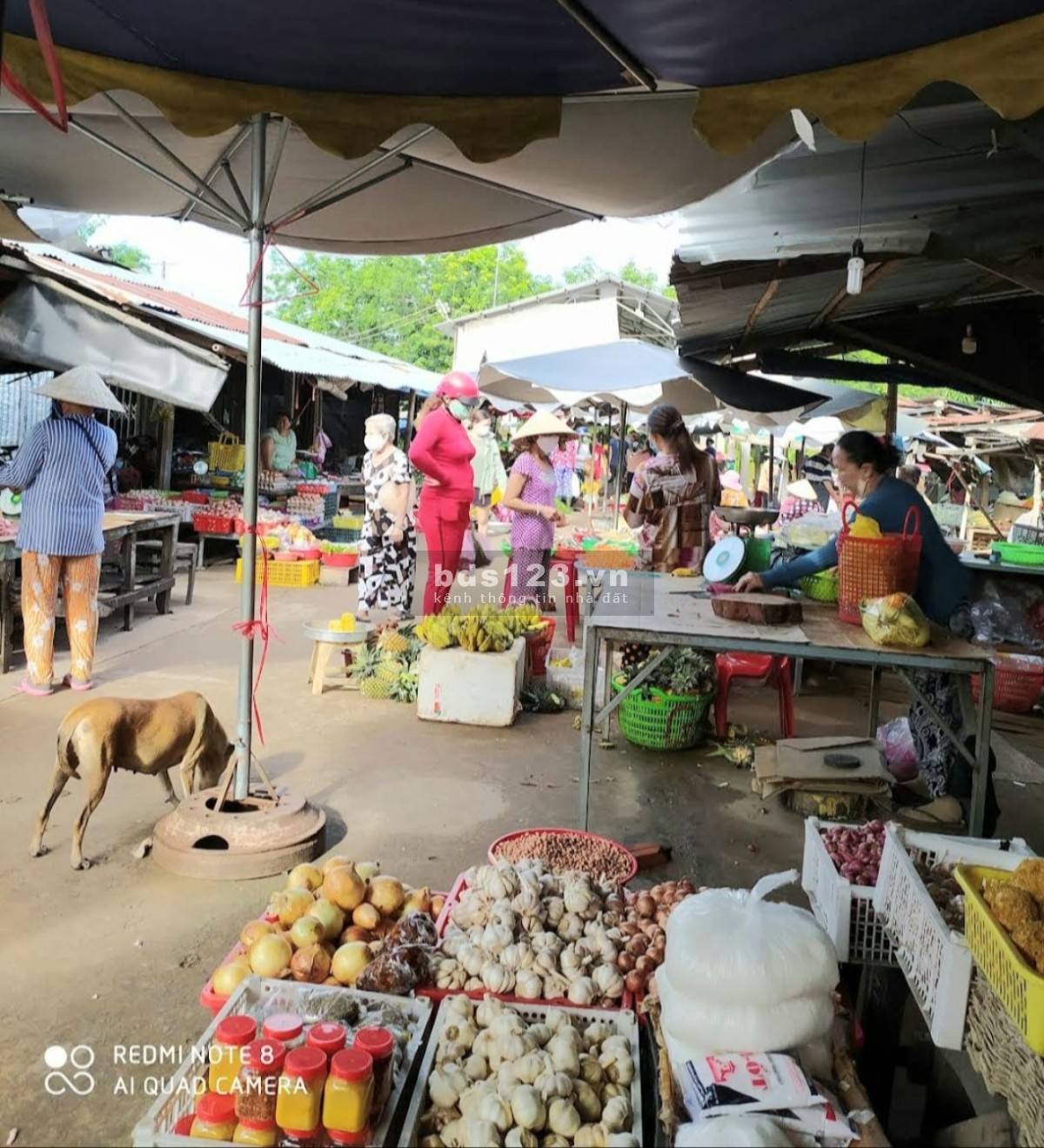 Bán đất đẹp giá đầu tư lợi nhuận cao gần KCN Hiệp Thạnh Gò Dầu Tây Ninh