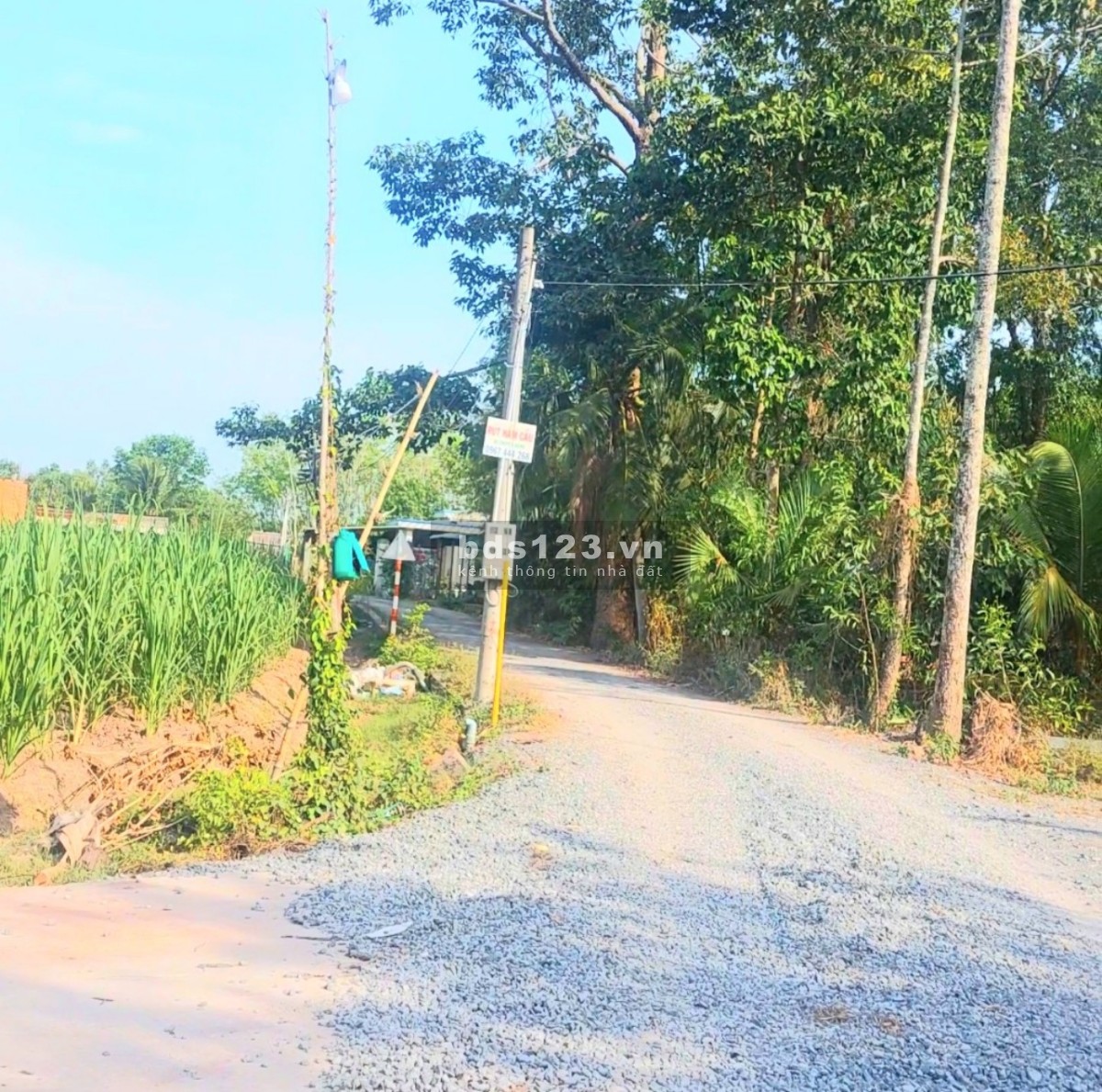 Bán đất đẹp giá đầu tư lợi nhuận cao gần KCN Hiệp Thạnh Gò Dầu Tây Ninh