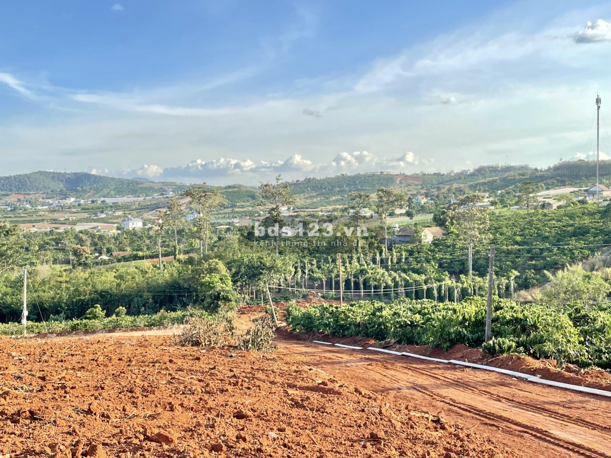 Bán đất DT 709m², view săn mây, toàn cảnh thị trấn Nam Ban, sổ hồng riêng chính chủ