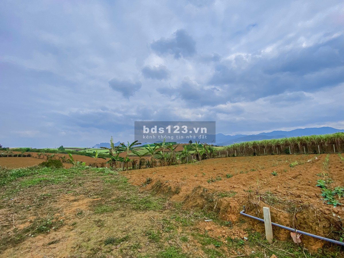 Chính chủ bán đất Cao Phong, diện tích 1.668m² sổ sẵn chính chủ