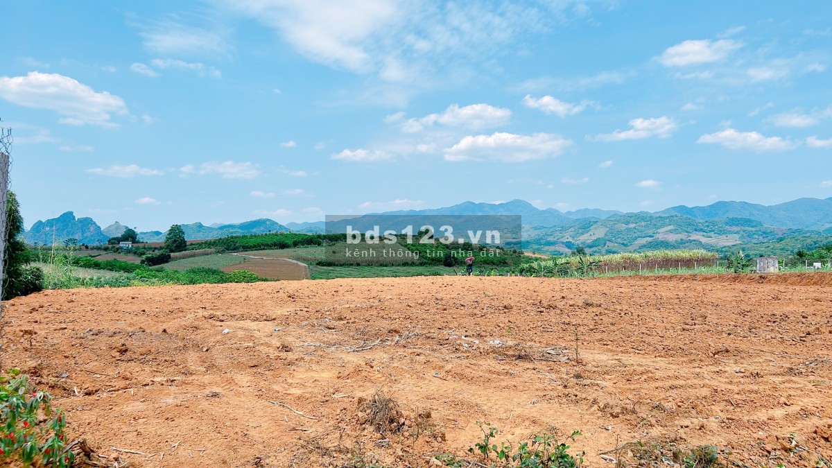 Chính chủ bán đất Cao Phong, diện tích 1.668m² sổ sẵn chính chủ