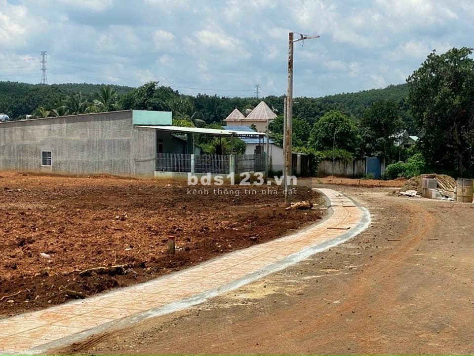 Gia đình cần bán lô đất 1000m2 để thuận tiện cho việc kinh doanh