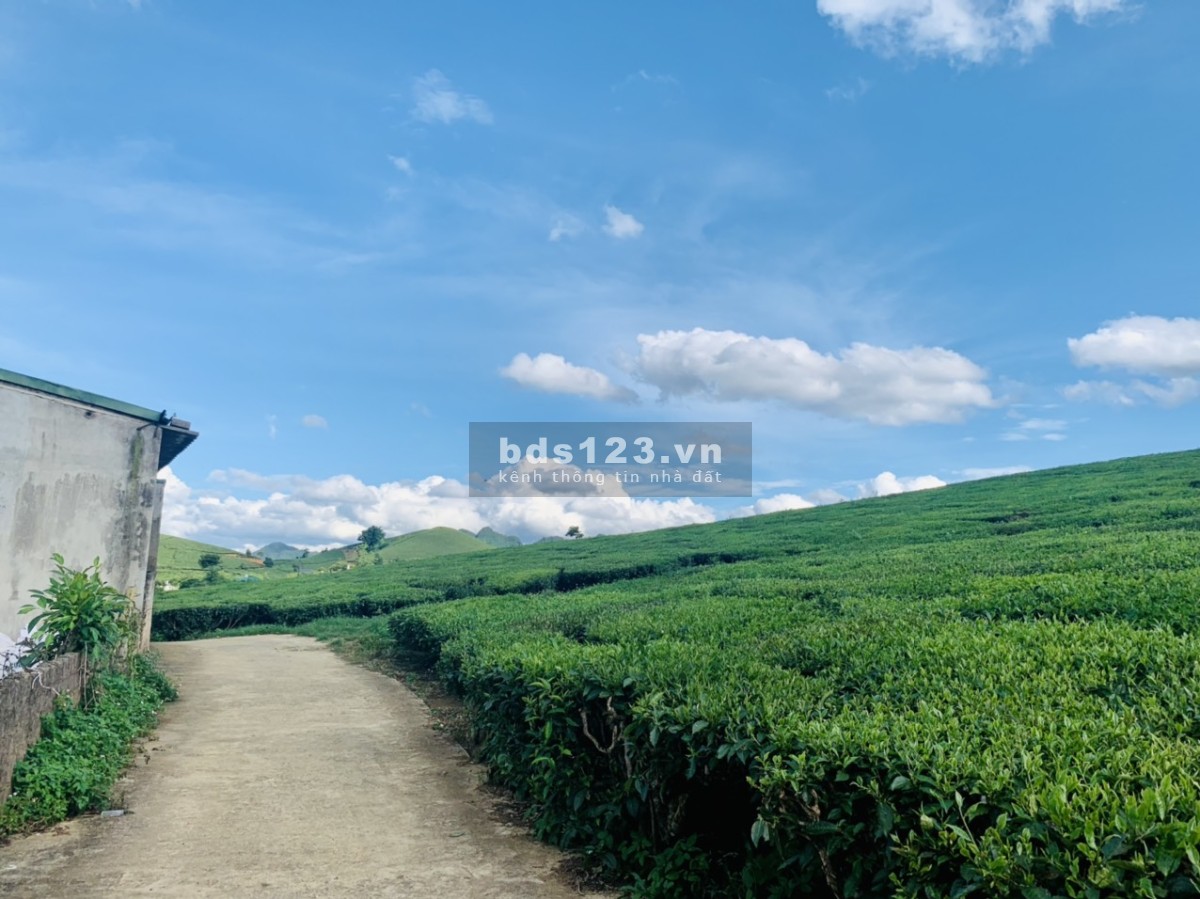 Cần tiền bán đất cắt lỗ tại Mộc Châu View siêu đep.
