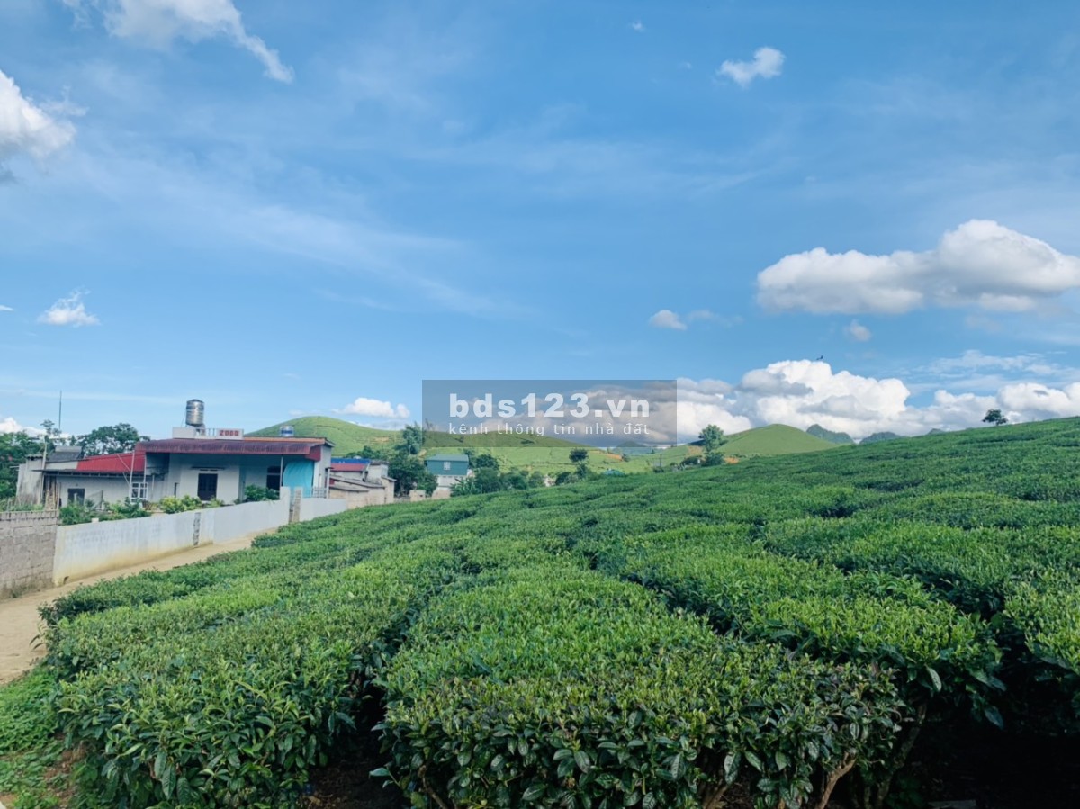 Cần tiền bán đất cắt lỗ tại Mộc Châu View siêu đep.