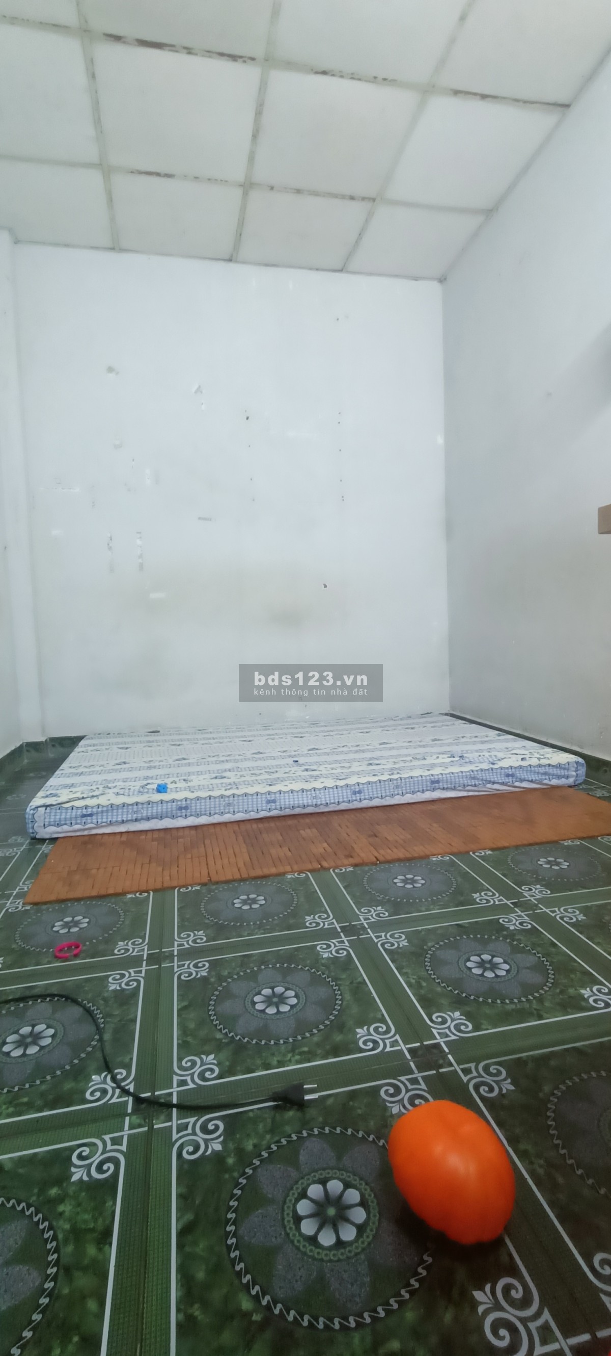 Cần cho thuê phòng trọ nhà nguyên căn share, P15, Q. Tân Bình