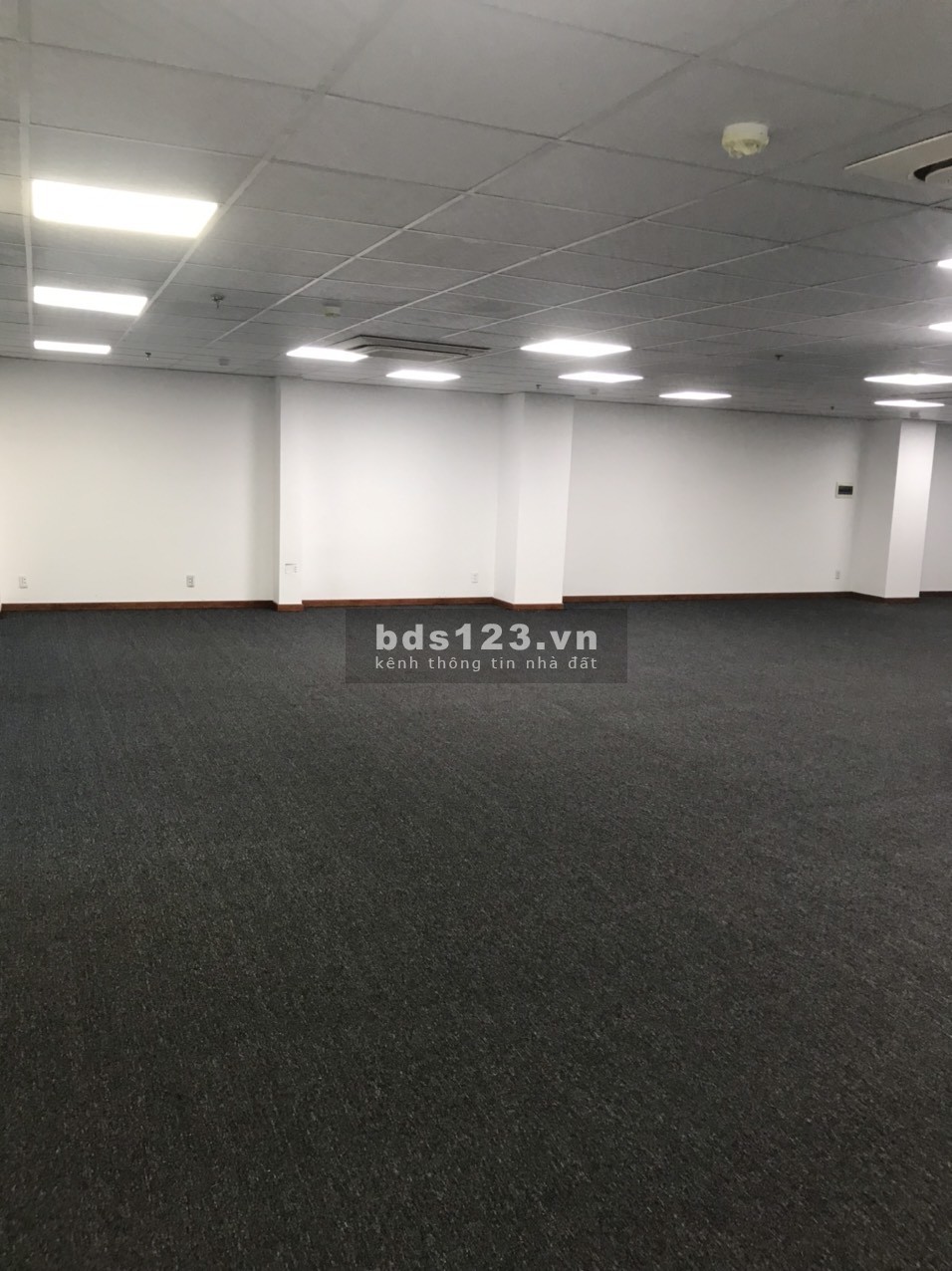 Chính chủ cho thuê sàn văn phòng 173m2 tại Bình Thạnh