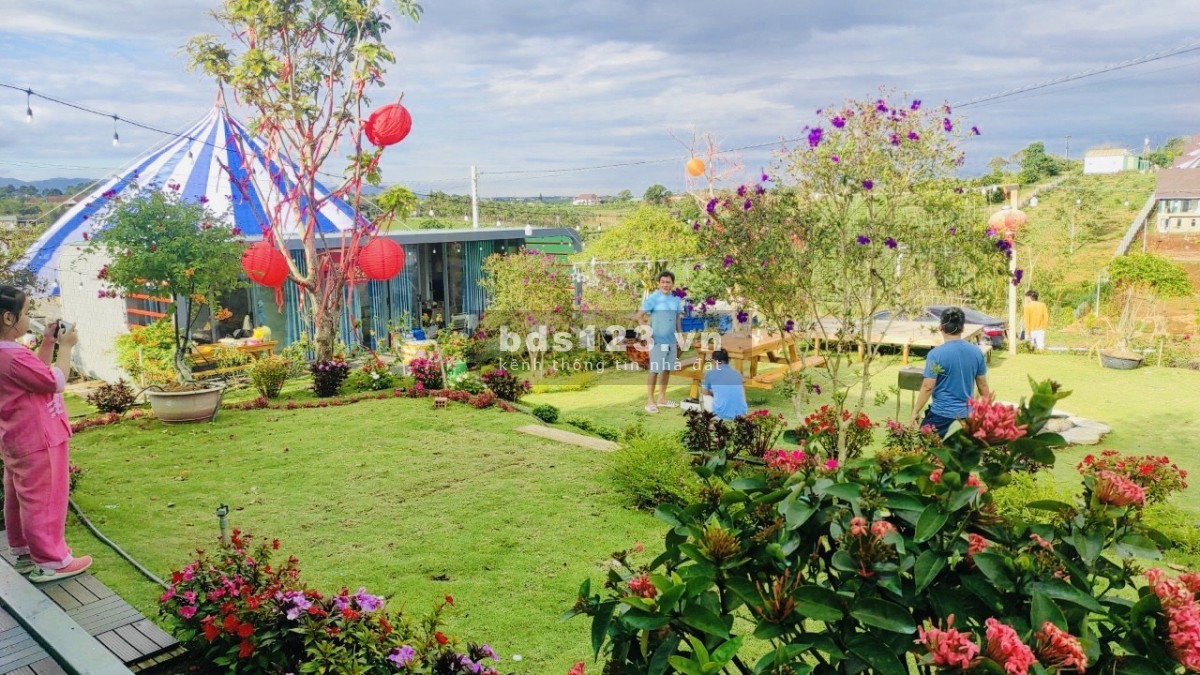Bán đất tặng nhà khu nghỉ dưỡng Dambri City – TP Bảo Lộc ,đang vận hành cho thuê 800- 1.2 tr/đêm