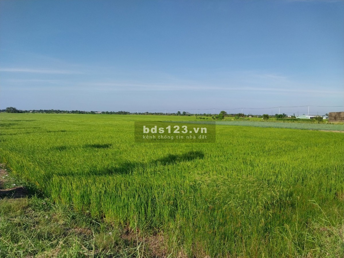 Gò Công bán đất mẫu mặt tiền đường xe tải, cơ hội vàng cho nhà đầu tư.