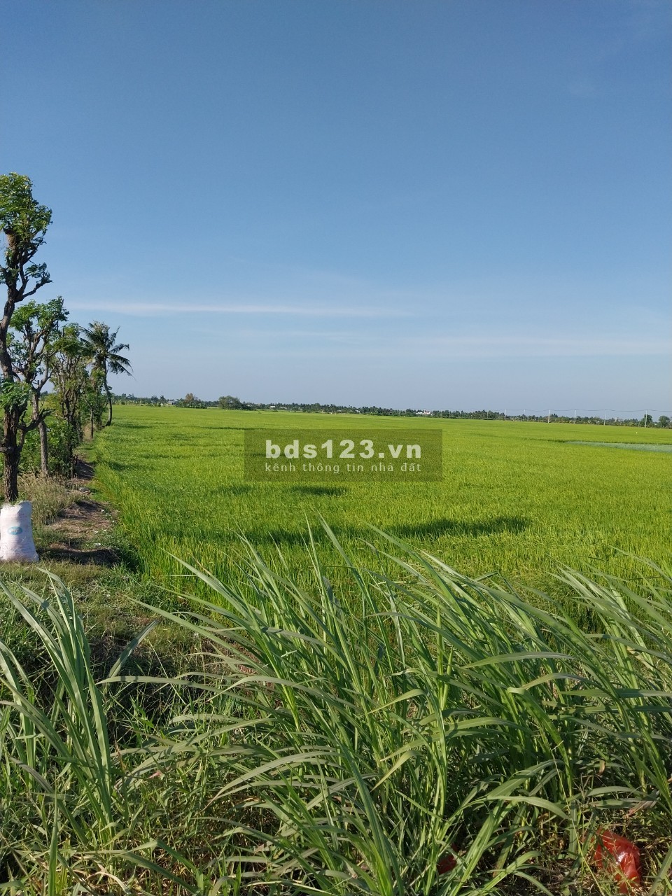 Gò Công bán đất mẫu mặt tiền đường xe tải, cơ hội vàng cho nhà đầu tư.