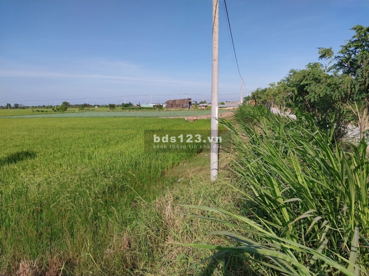 Gò Công bán đất mẫu mặt tiền đường xe tải, cơ hội vàng cho nhà đầu tư.