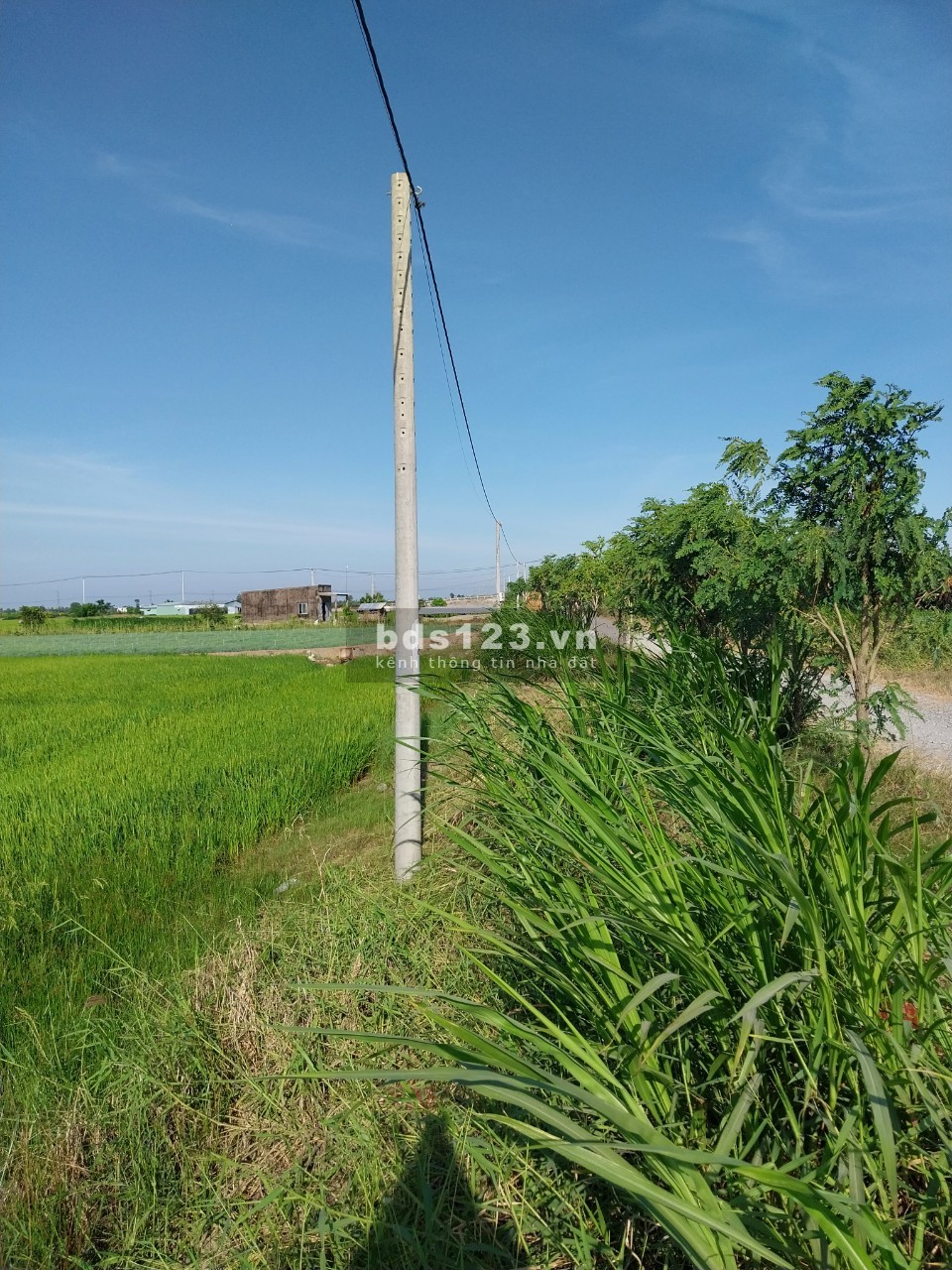 Gò Công bán đất mẫu mặt tiền đường xe tải, cơ hội vàng cho nhà đầu tư.