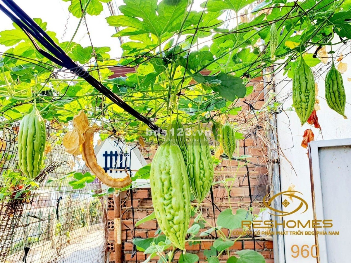Cho thuê nhà góc 2 mặt tiền Võ Thị Sáu, ngang 8m, hẻm xe hơi