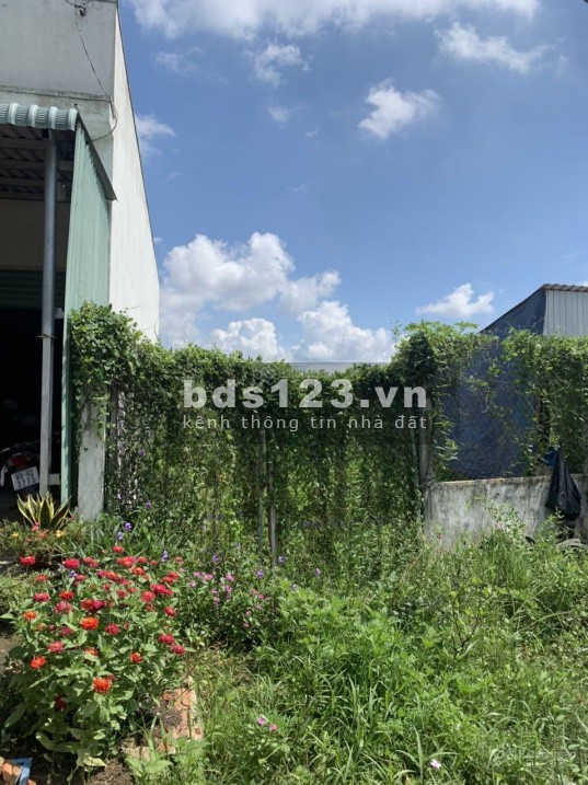 Bán gấp lô đất mặt tiền sát trường tiểu học Tân Bửu, DT: 100m2, SHR