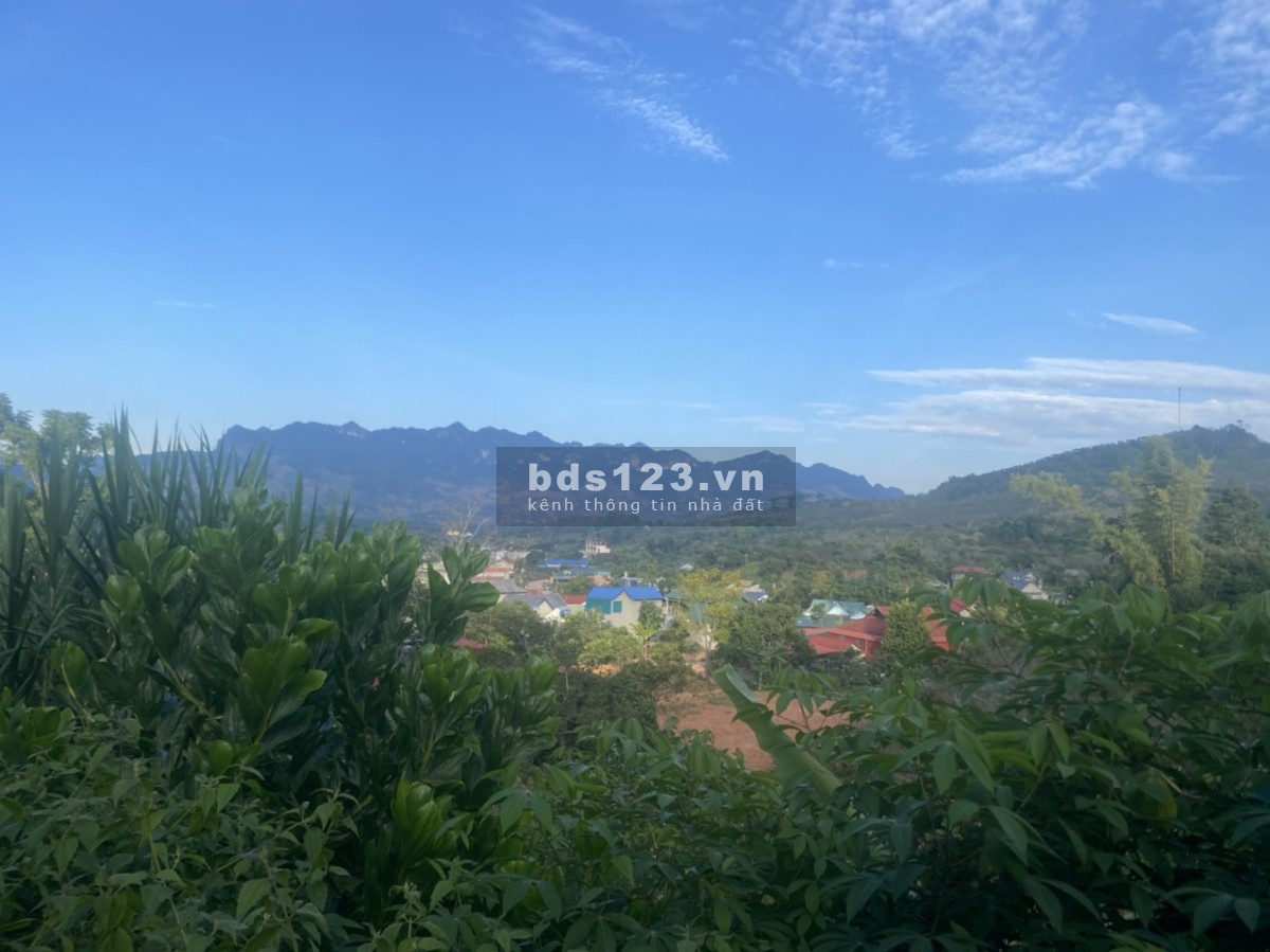 Bán đất rẻ bèo tại Mộc châu View đẹp