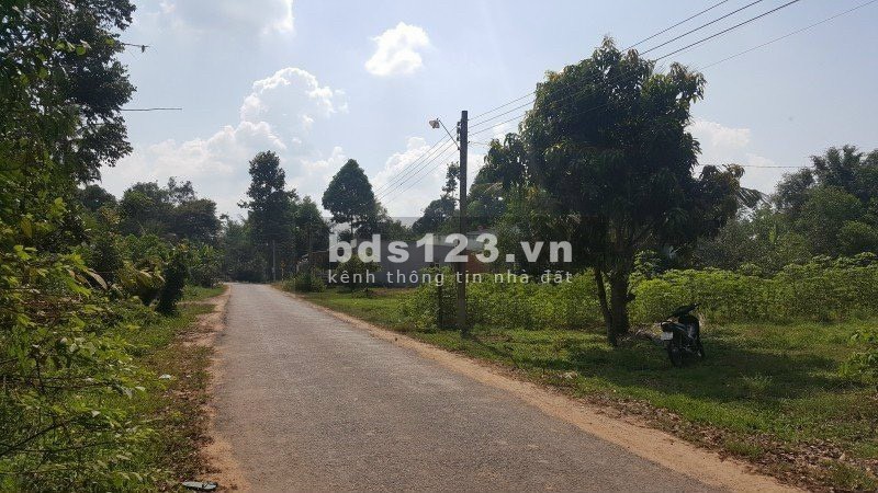 Gia đình định cư nước ngoài cần sang lại bán đất 1000m2 xã Hòa Hiệp Tân Biên SHR 499 triệu