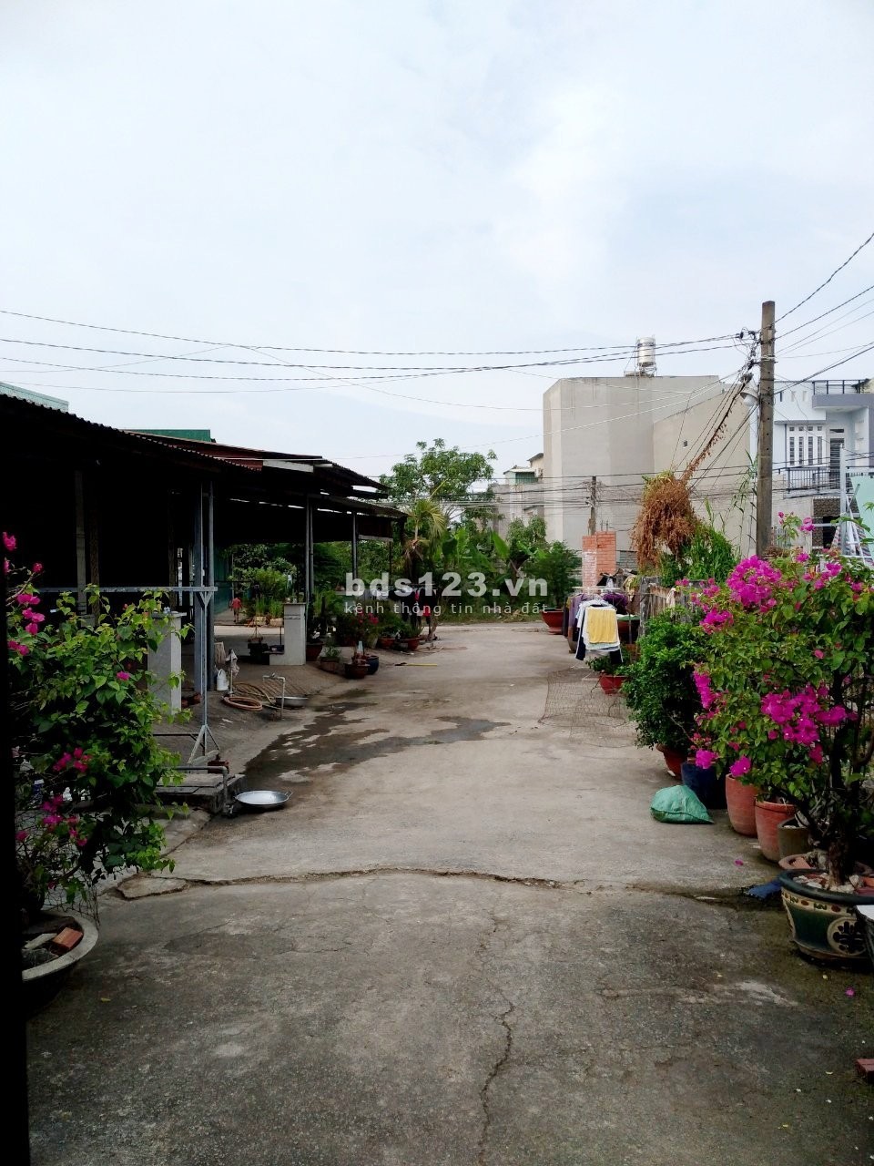 Chính chủ cần bán gấp thửa đất 1000m2 thổ cư hơn 80% giá tốt bất ngờ tại p Long Bình q9