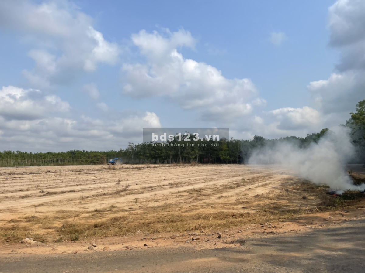 Ngộp ngân hàng bán đất giá rẻ 1731m quy hoạch đường 20m