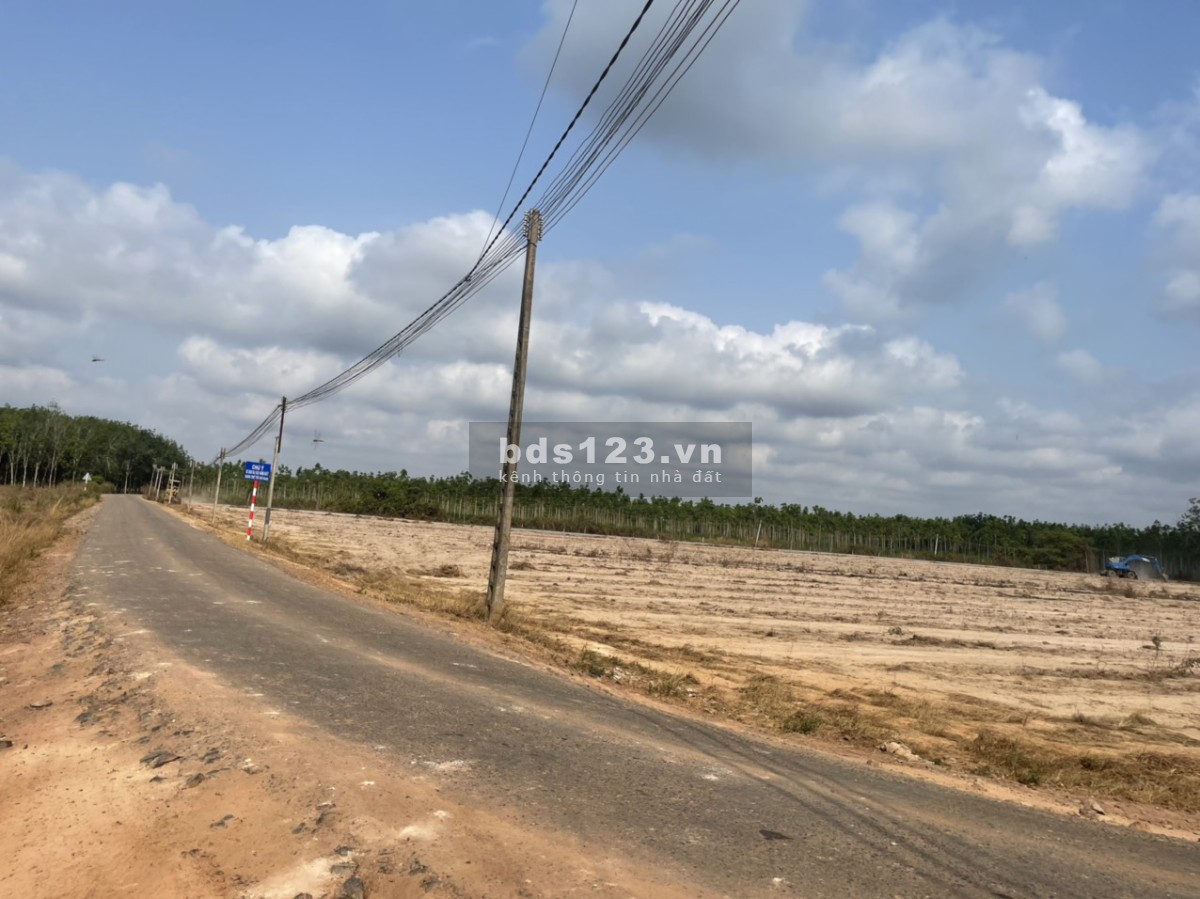 Ngộp ngân hàng bán đất giá rẻ 1731m quy hoạch đường 20m