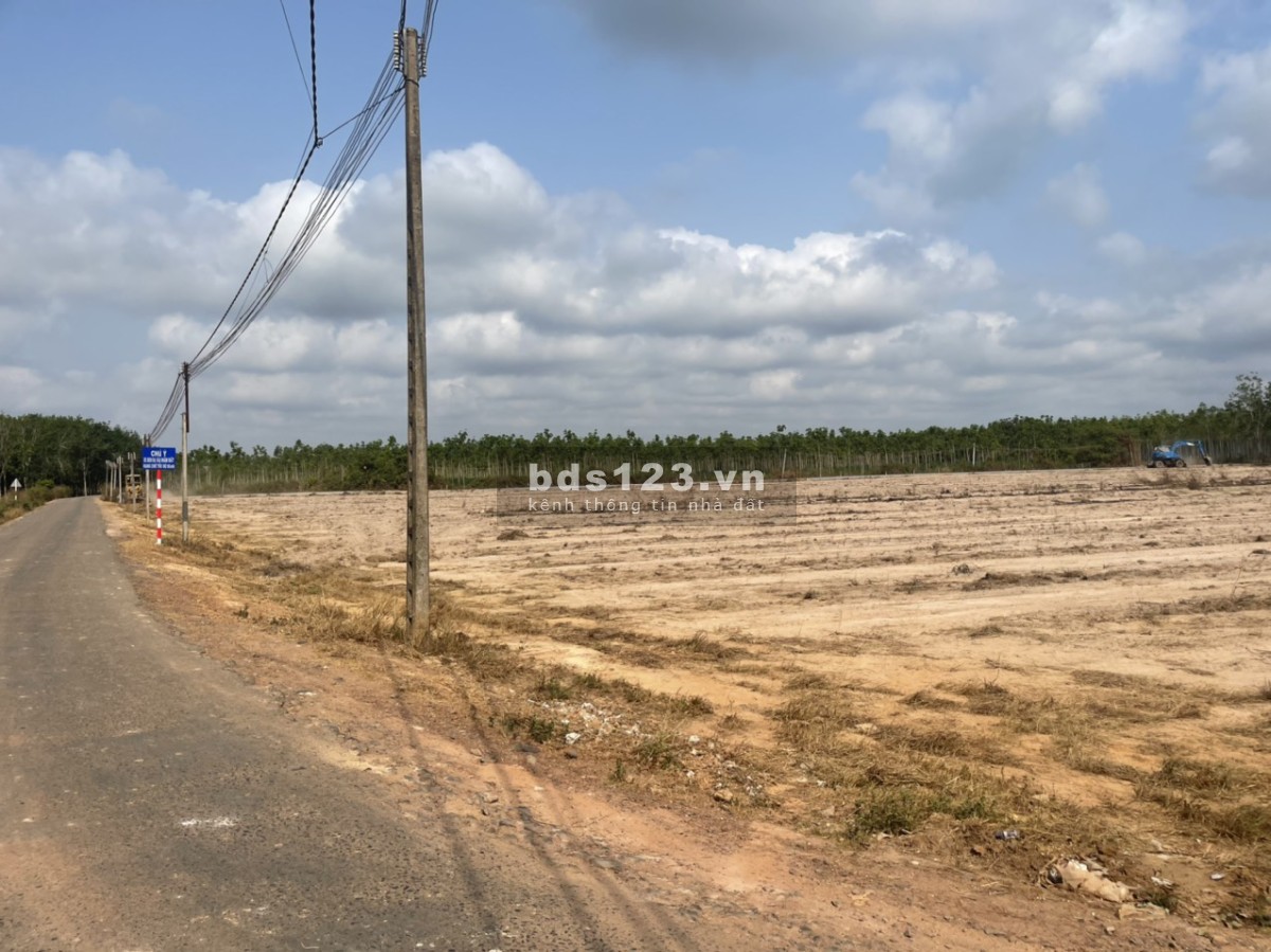Ngộp ngân hàng bán đất giá rẻ 1731m quy hoạch đường 20m
