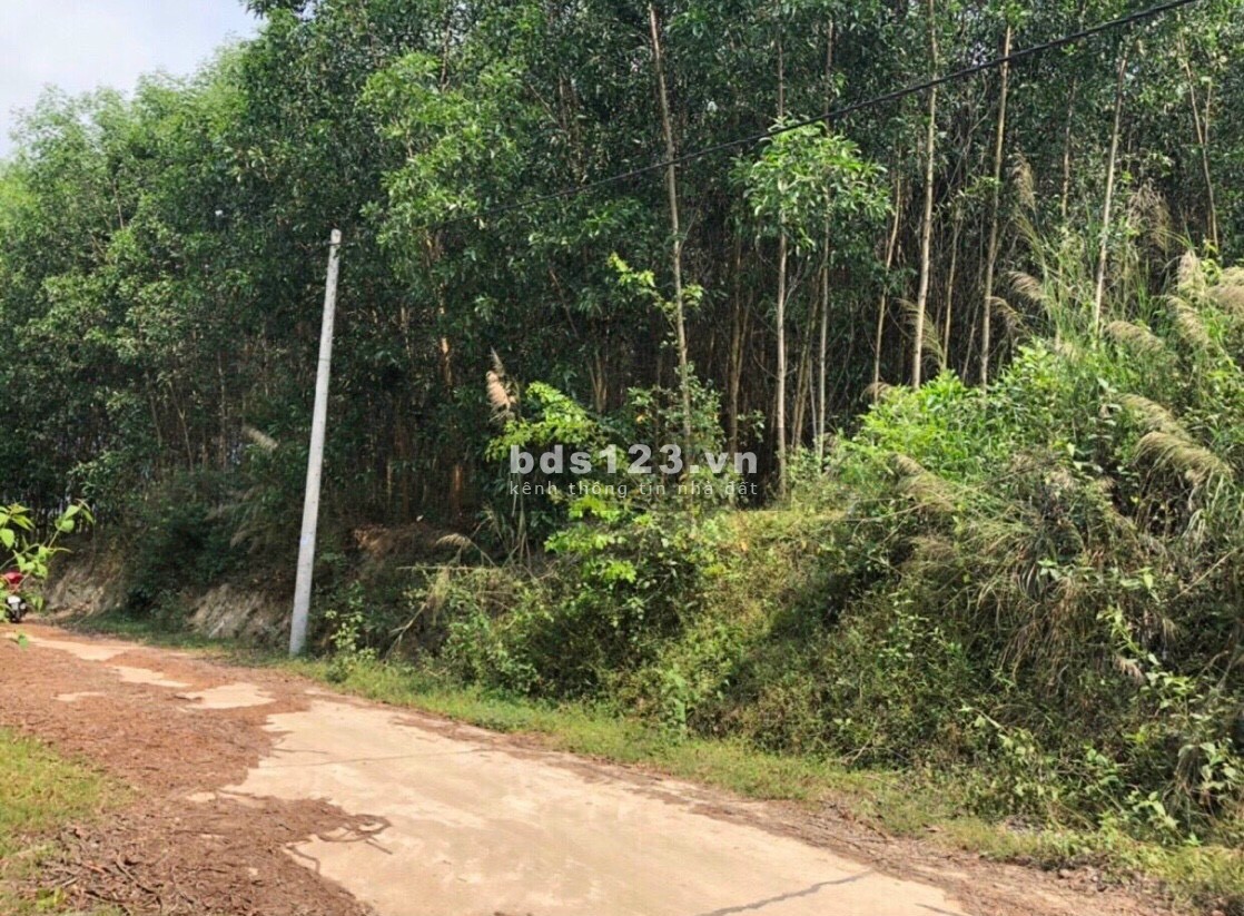 BÁN RẺ LÔ ĐÁT XÃ KHÁNH TRUNG, KHÁNH VĨNH, GIÁ CHỈ 399 TRIỆU