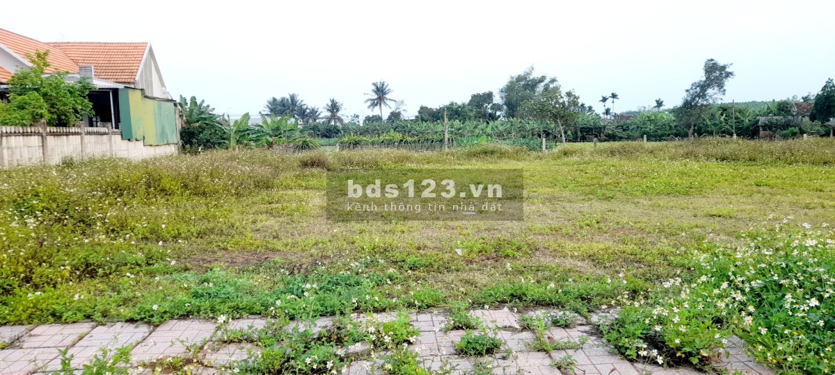 Bán đất thổ cư gần biển giá tốt - Thích hợp đầu tư hoặc ở