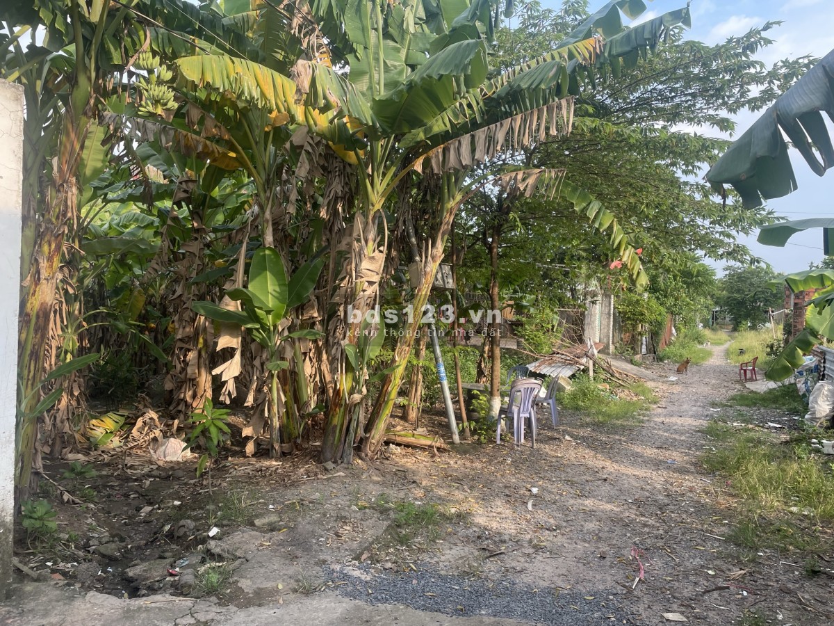 Chính chủ cần bán lô đất đẹp tại phường Long Bình