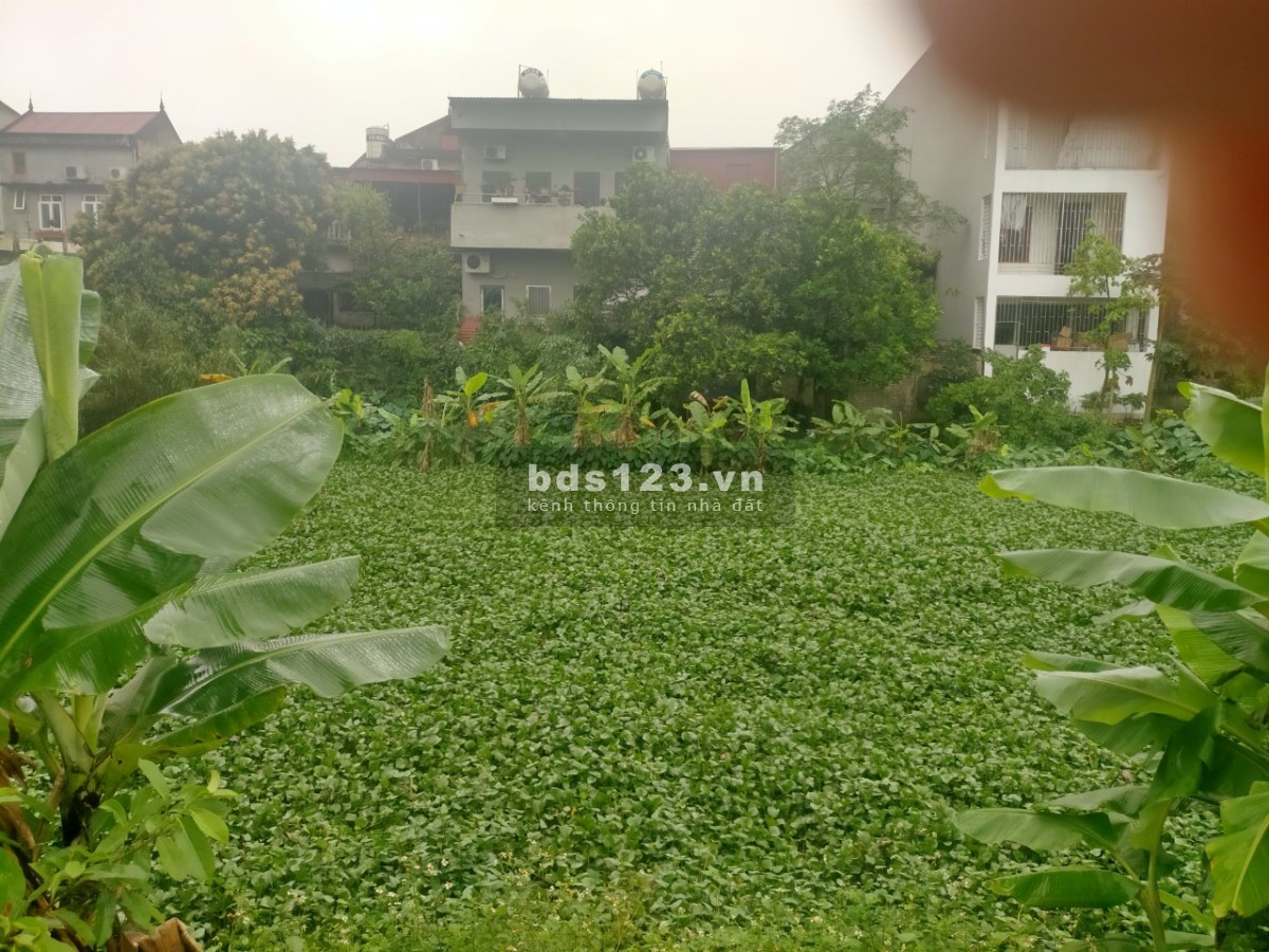 bán đất ở đô thị vị trí viu đẹp