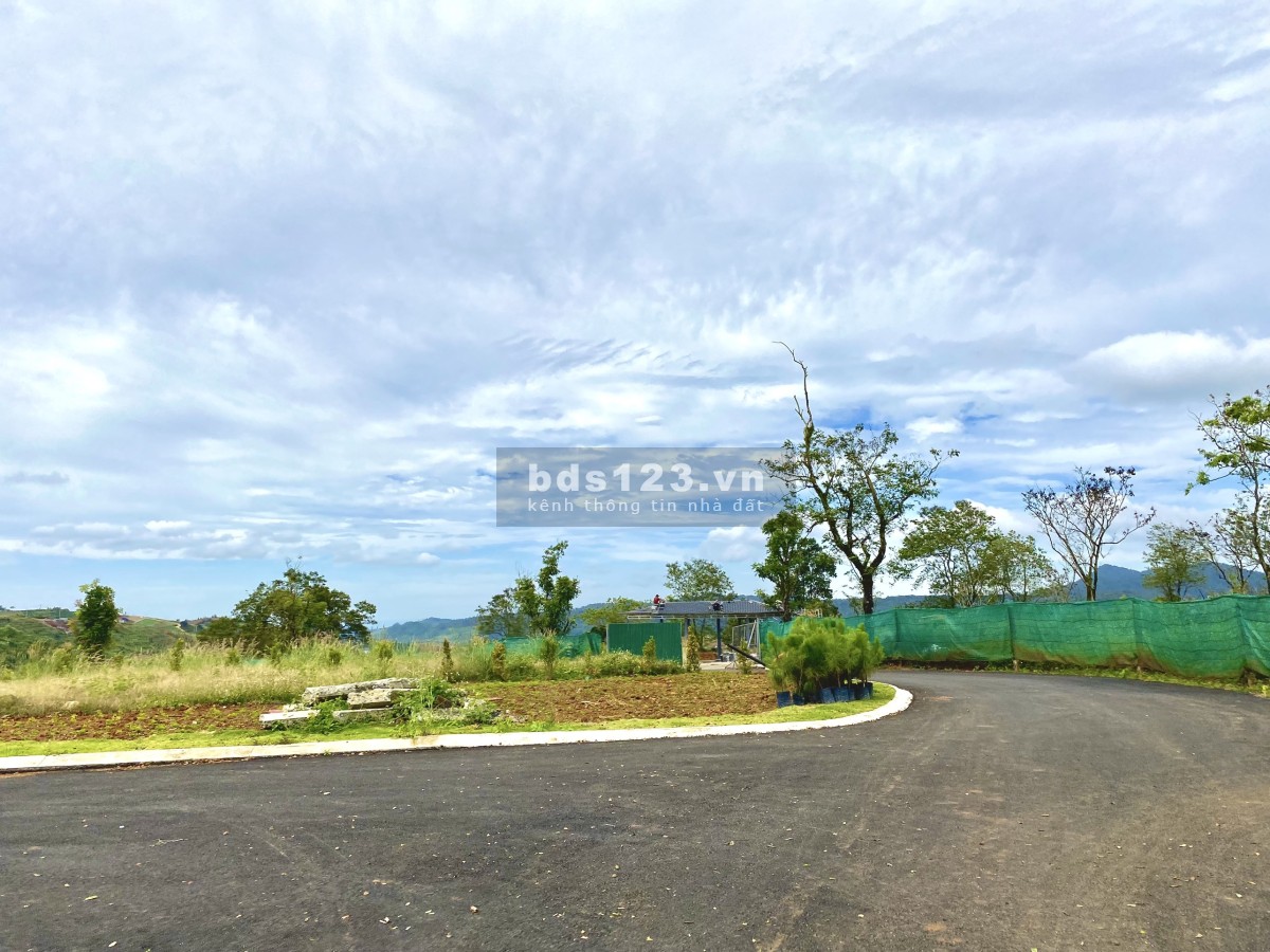 Cần bán đất full thổ cư gần trung tâm TP Bảo Lộc. Mặt tiền đường Lý Thái Tổ