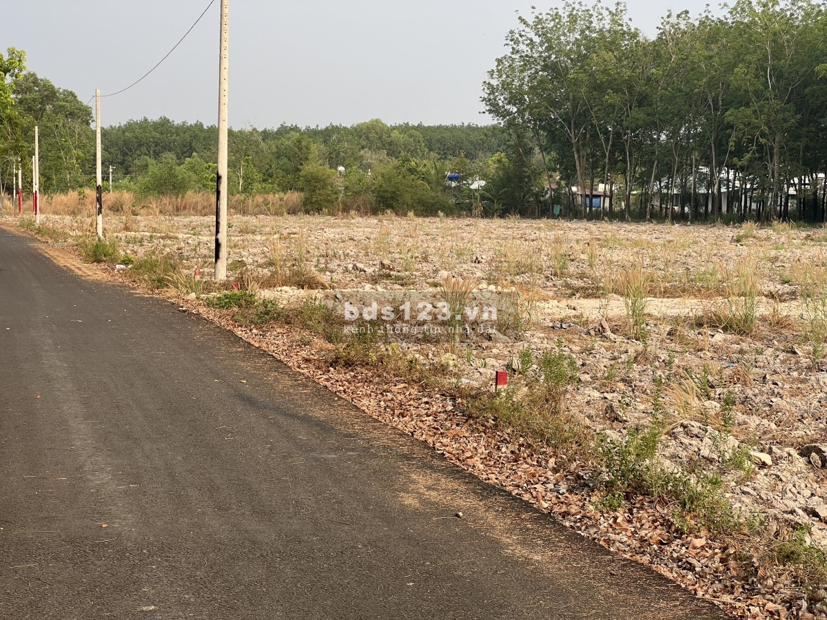 Sang sỉ 20 lô Minh Long Chơn Thành shr sổ sẳn