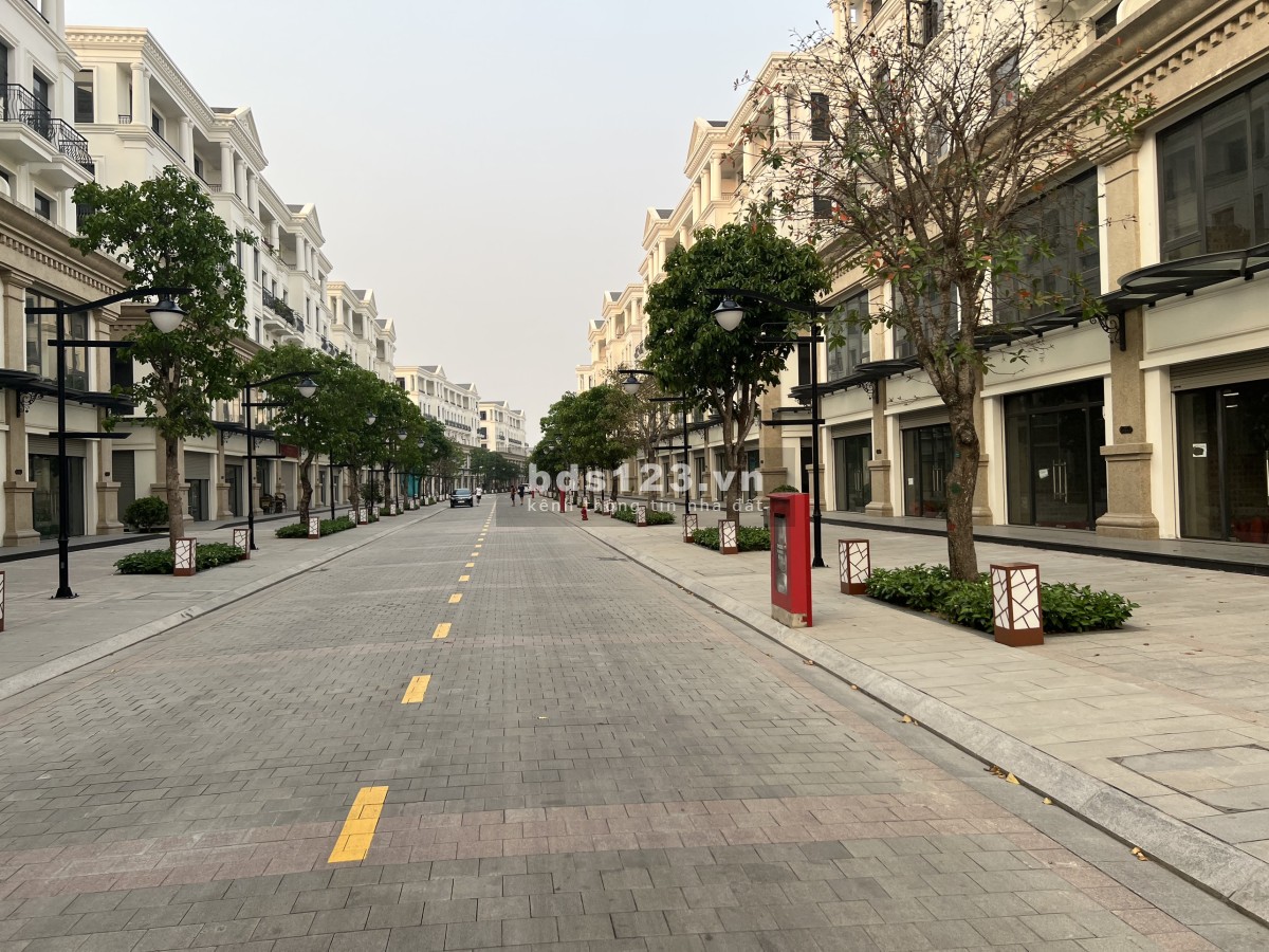Bán shophouse 2 mặt thoáng khu HA09 phố Nhật giá 8.8 tỷ Vin Gia Lâm