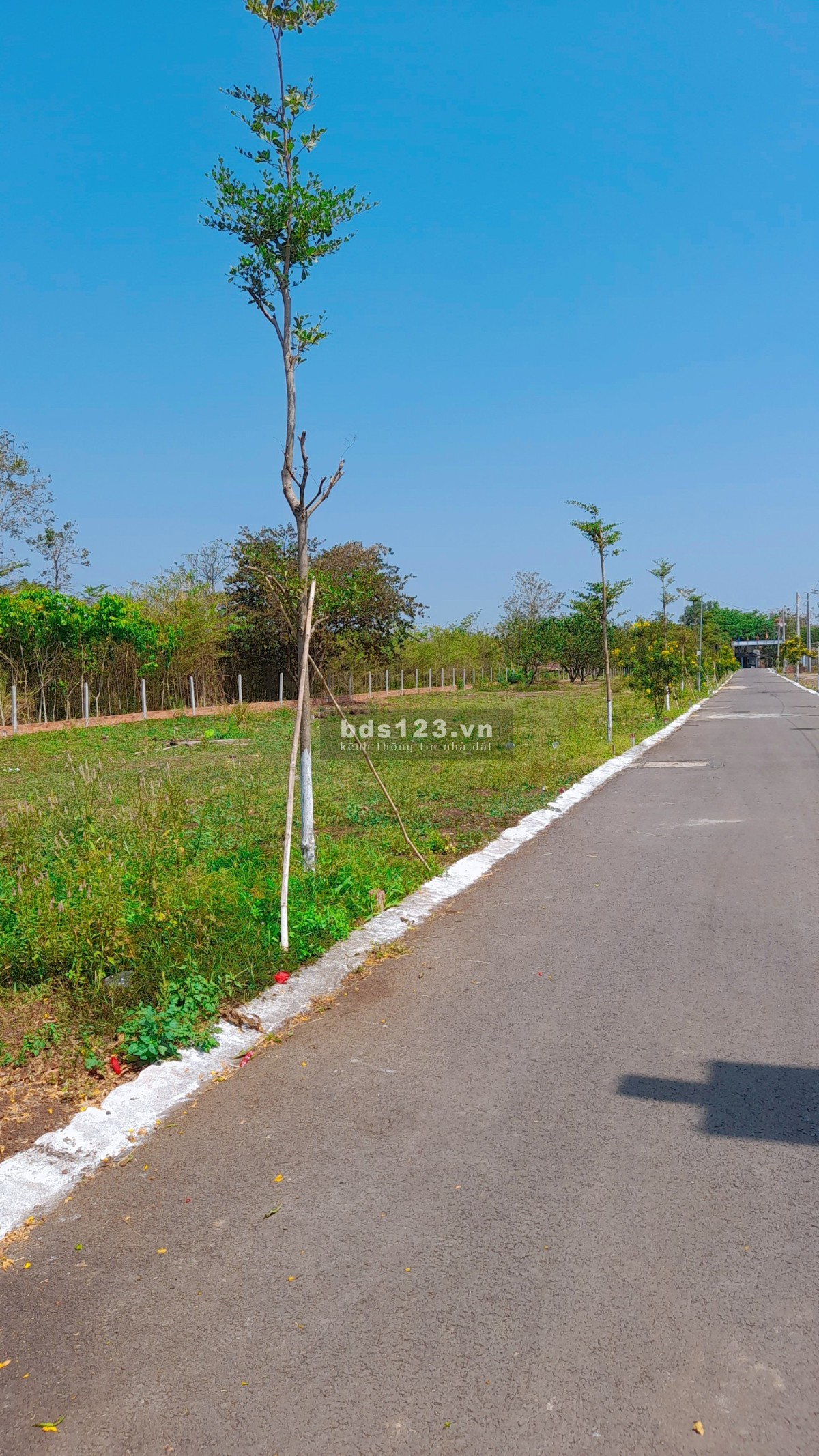 Bán đất, cần ra mấy lô đất Sông Thao - Trảng Bom Full thổ cư