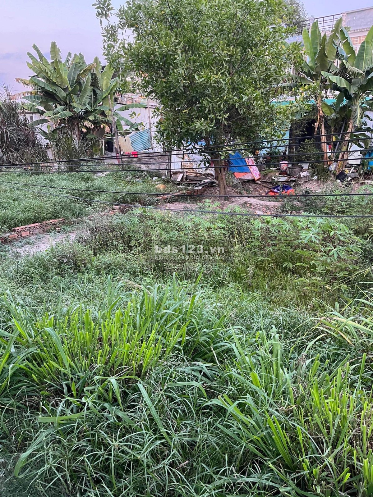 Chính chủ cần bán đất khu vực Hóc Môn