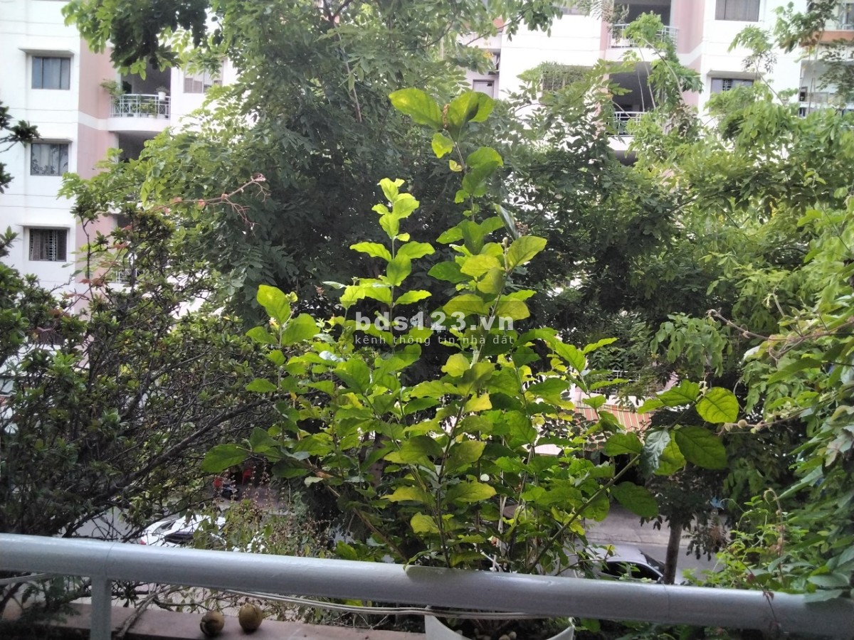 Chính chủ cần bán căn hộ chung cư Đồng Diều quận 8 diện tích 62m2