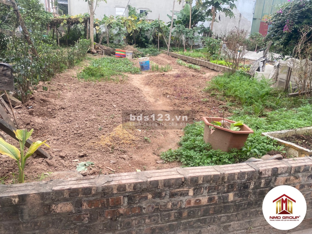 Bán đất 60m2 mt 5m Đại Bằng Nguyên Khê Đông Anh ô tô tránh kinh doanh nhỉnh 2 tỷ lh: 0886736116.